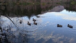 PXL_20251130_145359809