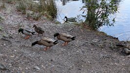 PXL_20251130_145611948