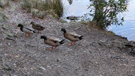 PXL_20251130_145612911