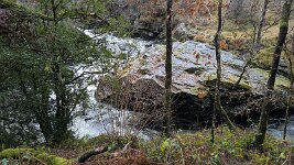 PXL_20251201_113012841