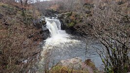 PXL_20251201_113800404