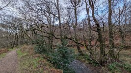 PXL_20251201_144907760