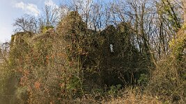 PXL_20251202_112202464