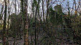 PXL_20251202_112423735