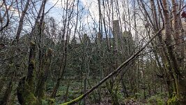 PXL_20251202_112835985