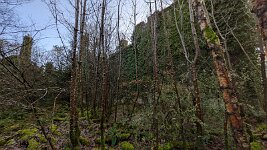 PXL_20251202_113247218