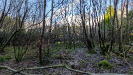 PXL_20251202_113841621