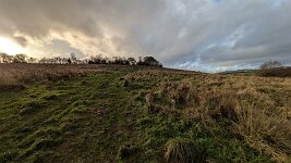 PXL_20251202_131540653