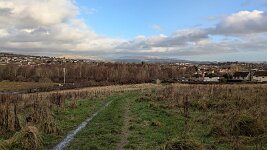 PXL_20251202_132930735