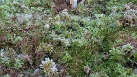 PXL_20251202_150202983