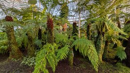 PXL_20251202_151247801