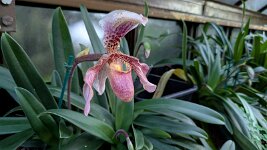 PXL_20251202_153502190