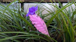 PXL_20251202_153621603