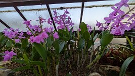 PXL_20251202_153747779